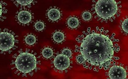 H7N9 biến đổi nhanh gấp 8 lần virus cúm thường